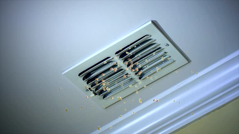 Best Professional Duct Cleaning Services  in Roanoke Rapids, NC