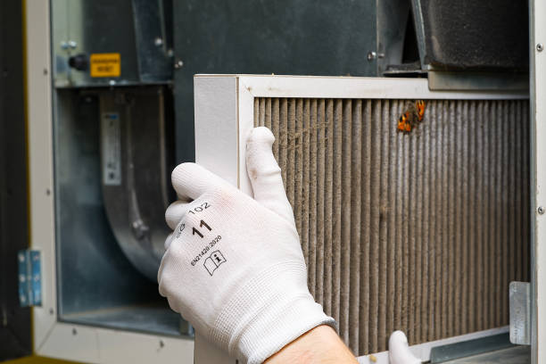 Best Professional Duct Cleaning Services  in Roanoke Rapids, NC