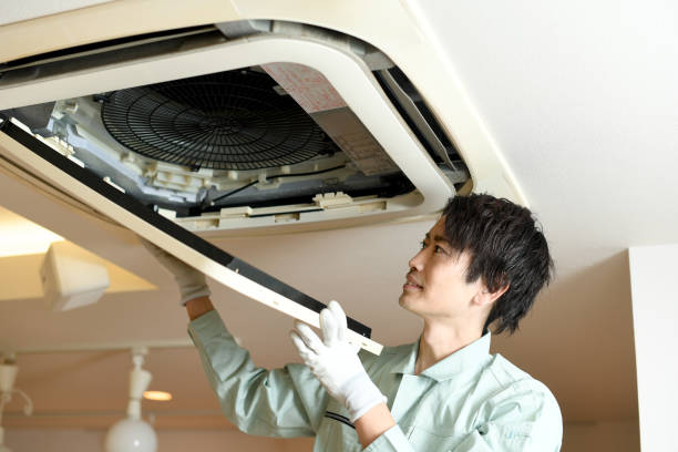 Best Home Air Vent Cleaning  in Roanoke Rapids, NC