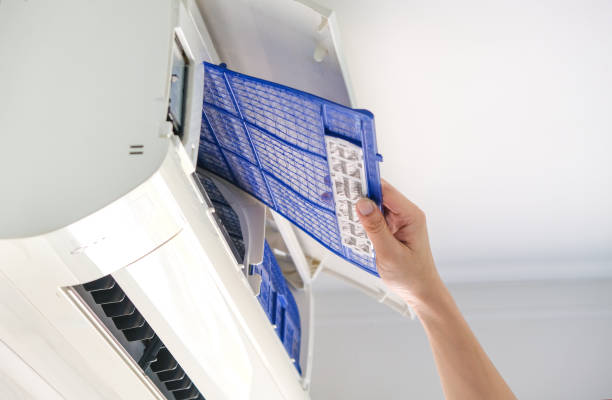 Best Air Duct Sanitizing Services  in Roanoke Rapids, NC