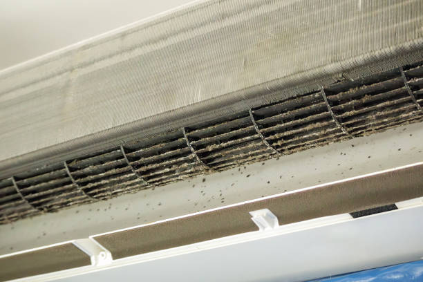 Best Best Air Duct Cleaning Company  in Roanoke Rapids, NC