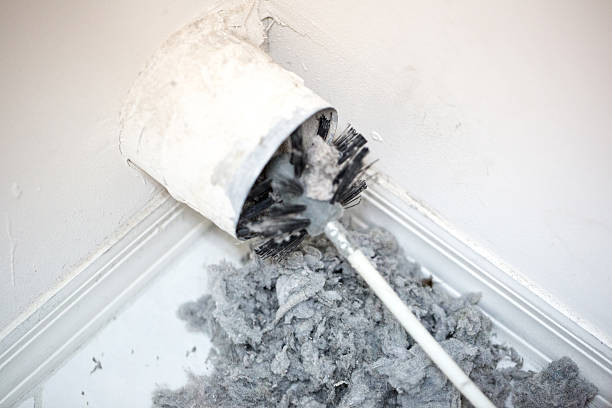 Best Affordable HVAC Duct Cleaning  in Roanoke Rapids, NC