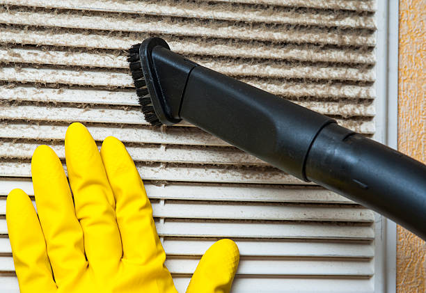 Best Home Air Vent Cleaning  in Roanoke Rapids, NC