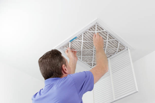 Best Duct Cleaning for Homes  in Roanoke Rapids, NC